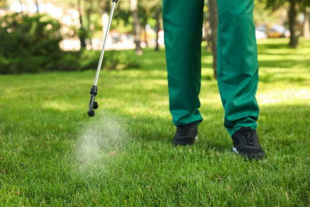 Reliable Farmington, MI Pest Control Solutions