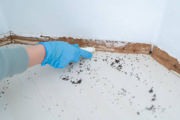 Best Bed Bug Extermination  in Farngton, MI