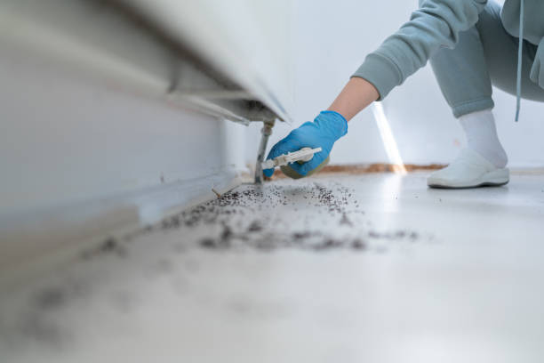 Best Rat Extermination Near Me  in Farngton, MI